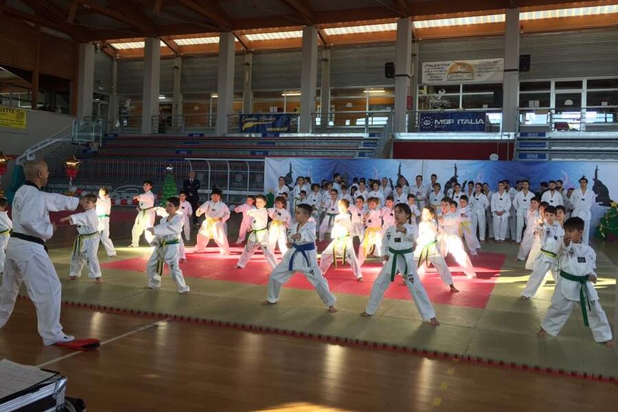 centro-sportivo-orbassano-servizi-sport-taekwondo